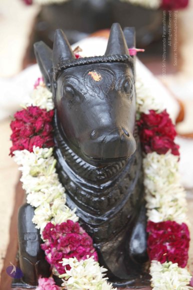 20140629_Photo_1082__MG_7825_CMP_WM