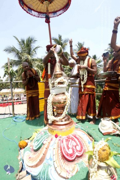20140629_Photo_1012__MG_7654_CMP_WM