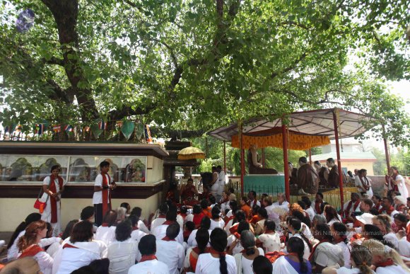 20140502_Photo_1000_IMG_3727_CMP_WM