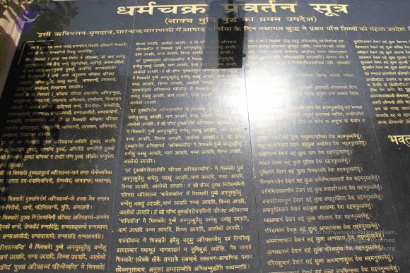 20140502_Photo_1031_IMG_3708_CMP_WM