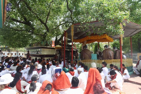 20140502_Photo_1041_IMG_3730_CMP_WM