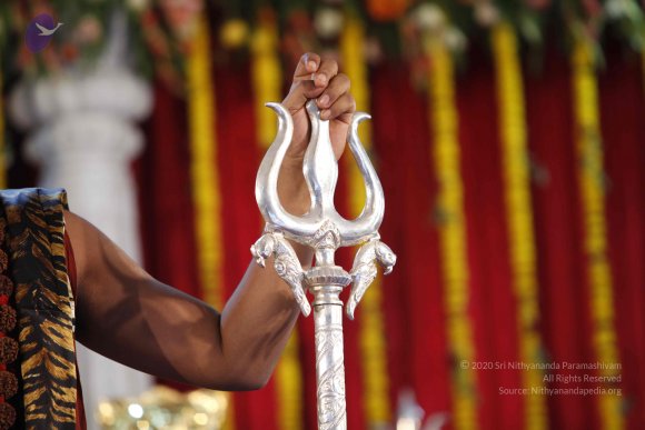 20140503_Photo_1001__MG_4379_CMP_WM