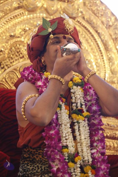 20140501_Photo_1009__MG_3010_CMP_WM