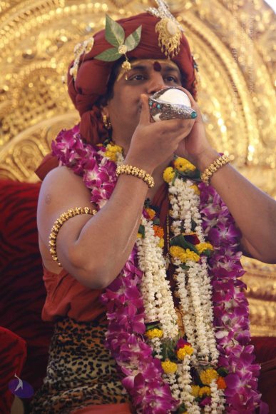 20140501_Photo_1023__MG_3011_CMP_WM