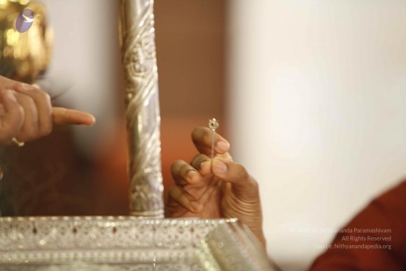 20140501_Photo_1014__MG_3376_CMP_WM