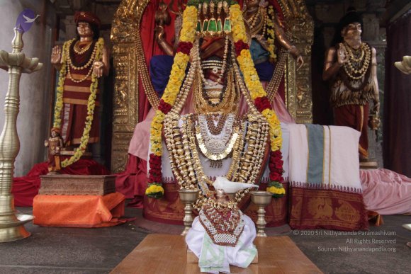 20141103_Photo_1002_IMG_3936_CMP_WM