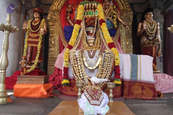 20141103_Photo_1003_IMG_3938_CMP_WM