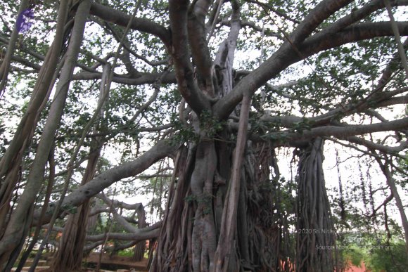 20141103_Photo_1006_IMG_3944_CMP_WM