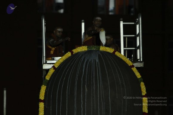 20141103_Photo_1012_IMG_3907_CMP_WM