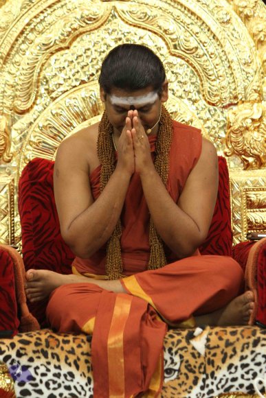 20141108_Photo_1005_IMG_4950_CMP_WM