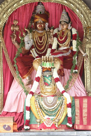 20141108_Photo_1012_IMG_5025_CMP_WM