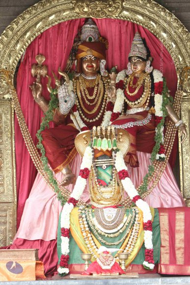 20141108_Photo_1013_IMG_5026_CMP_WM