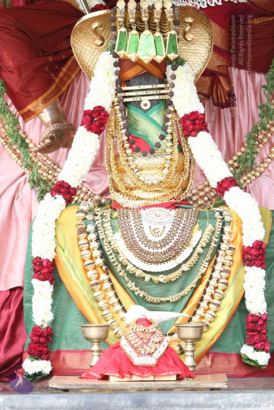 20141108_Photo_1014_IMG_5027_CMP_WM