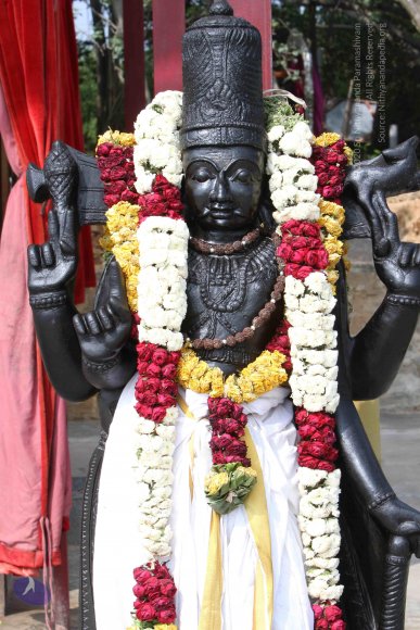 20141108_Photo_1017_IMG_5033_CMP_WM