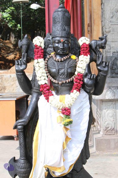 20141108_Photo_1018_IMG_5034_CMP_WM