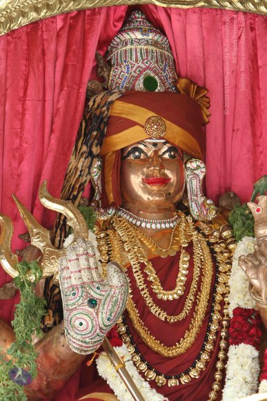 20141108_Photo_1019_IMG_5037_CMP_WM