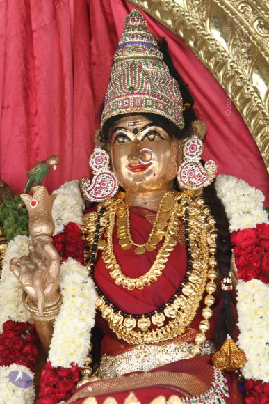 20141108_Photo_1020_IMG_5038_CMP_WM