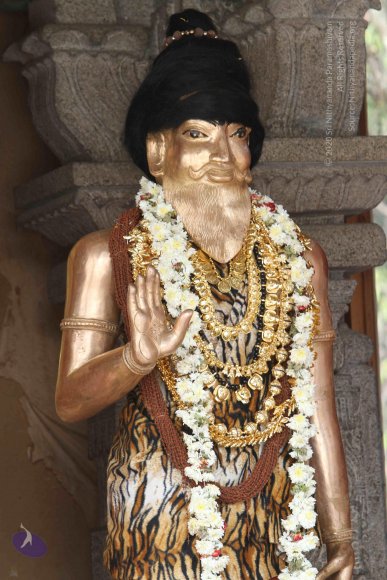 20141108_Photo_1021_IMG_5039_CMP_WM