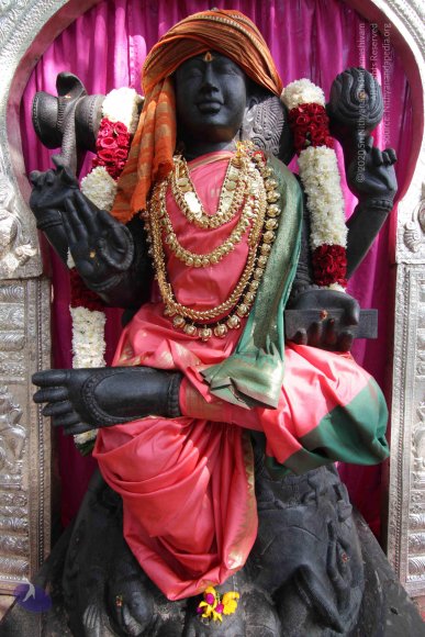 20141108_Photo_1024_IMG_5043_CMP_WM