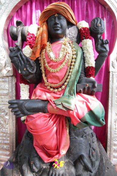 20141108_Photo_1026_IMG_5045_CMP_WM