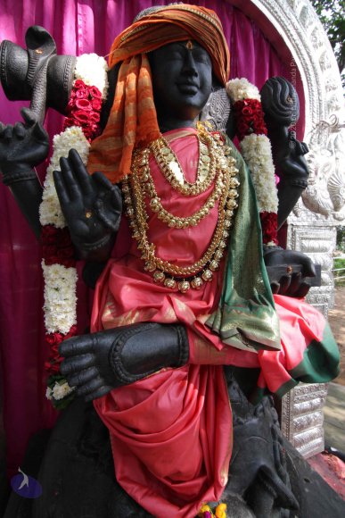 20141108_Photo_1027_IMG_5047_CMP_WM