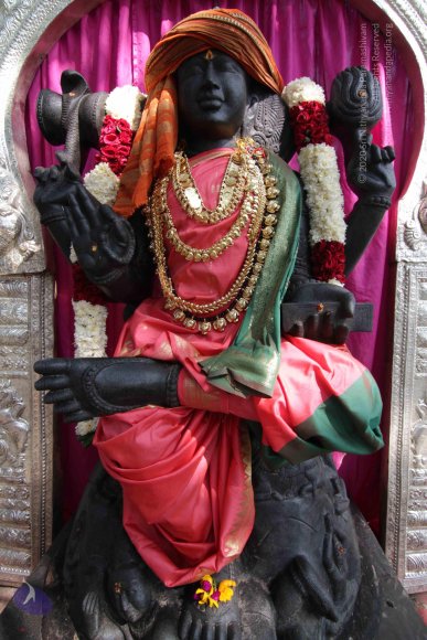 20141108_Photo_1029_IMG_5049_CMP_WM