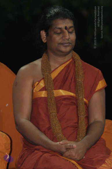 20141125_Photo_1012_IMG_8352_CMP_WM