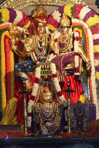 20141125_Photo_1014_IMG_8394_CMP_WM