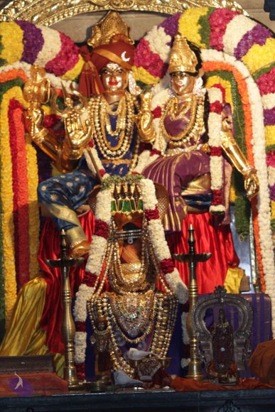 20141125_Photo_1015_IMG_8395_CMP_WM