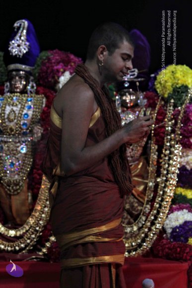 20141125_Photo_1016_IMG_8436_CMP_WM