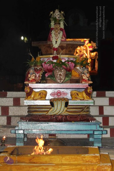 20141125_Photo_1018_IMG_8440_CMP_WM