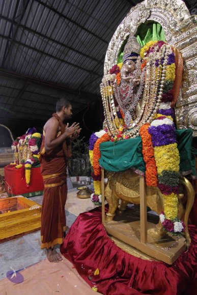 20141125_Photo_1025_IMG_8487_CMP_WM