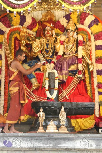 20141128_Photo_1000_IMG_9572_CMP_WM