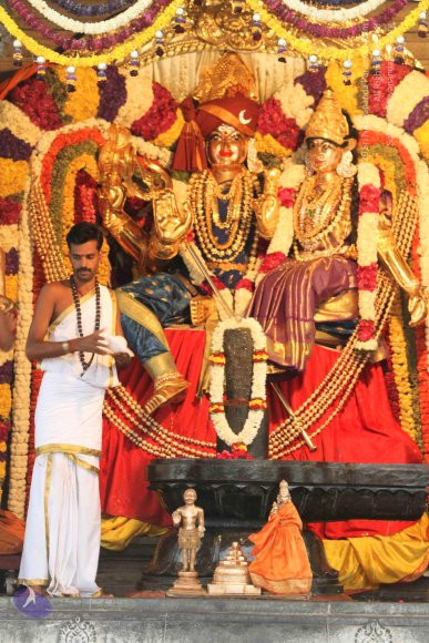 20141128_Photo_1008_IMG_9677_CMP_WM