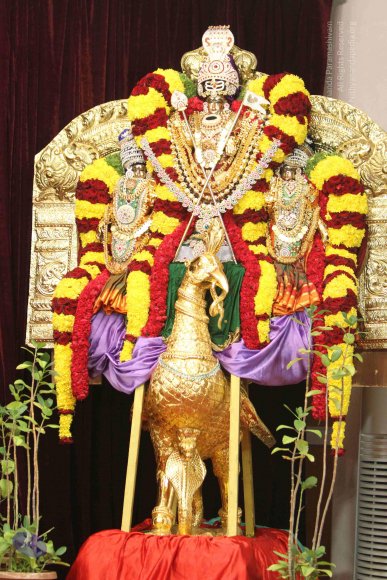 01-MORNING-SATSANG_Photo_1013_IMG_0568_CMP_WM