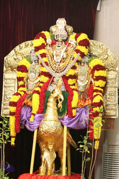 01-MORNING-SATSANG_Photo_1014_IMG_0569_CMP_WM