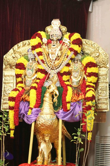 01-MORNING-SATSANG_Photo_1015_IMG_0570_CMP_WM