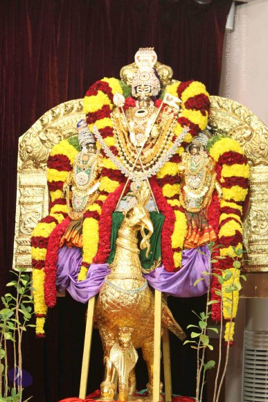 01-MORNING-SATSANG_Photo_1016_IMG_0571_CMP_WM