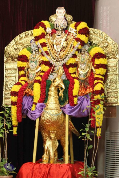 01-MORNING-SATSANG_Photo_1017_IMG_0572_CMP_WM