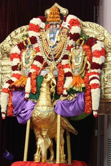 01-PADA-PUJA_Photo_1015_IMG_1118_CMP_WM