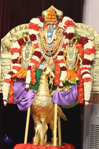 02-NITHYA-SATSANG_Photo_1008_IMG_1149_CMP_WM