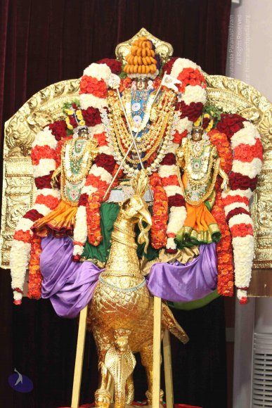 02-NITHYA-SATSANG_Photo_1009_IMG_1150_CMP_WM