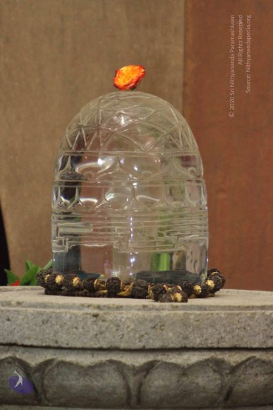 02-NITHYA-SATSANG_Photo_1012_IMG_1167_CMP_WM