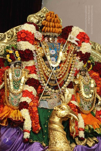 02-NITHYA-SATSANG_Photo_1023_IMG_1239_CMP_WM