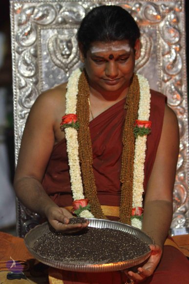 06-RUDRA-HOMA-AND-VIRAJA-HOMA_Photo_1006_IMG_1579_CMP_WM