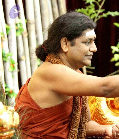 20141012_Photo_1004_IMG_5187_CMP_WM