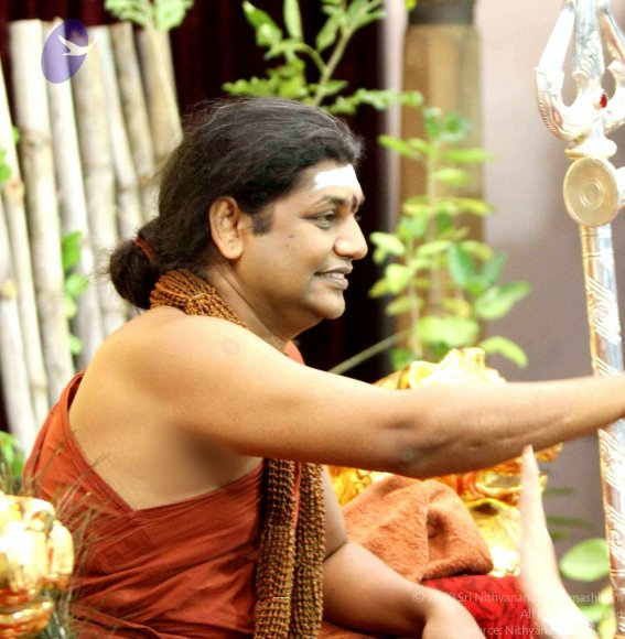 20141012_Photo_1007_IMG_5198_CMP_WM