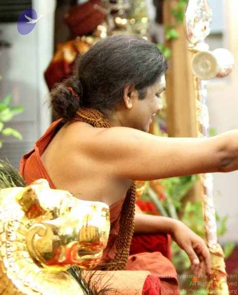 20141012_Photo_1027_IMG_5226_CMP_WM