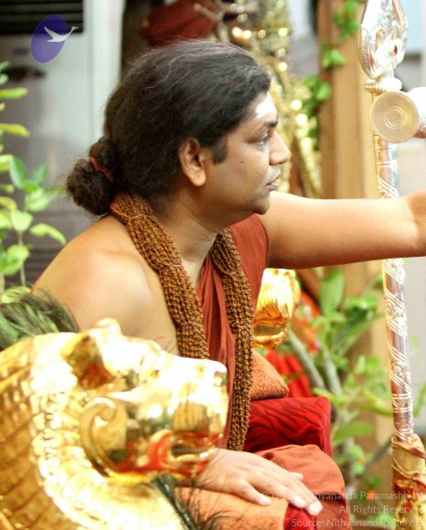 20141012_Photo_1030_IMG_5230_CMP_WM