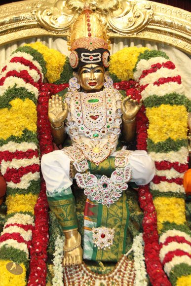 01-MEENAKSHI-TIRUKALYANAM_Photo_1015_IMG_5258_CMP_WM(1)